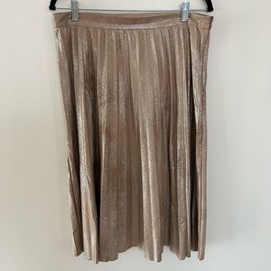 Pleated Velour Shimmery Skirt, Maeve from Anthropologie, Size Large